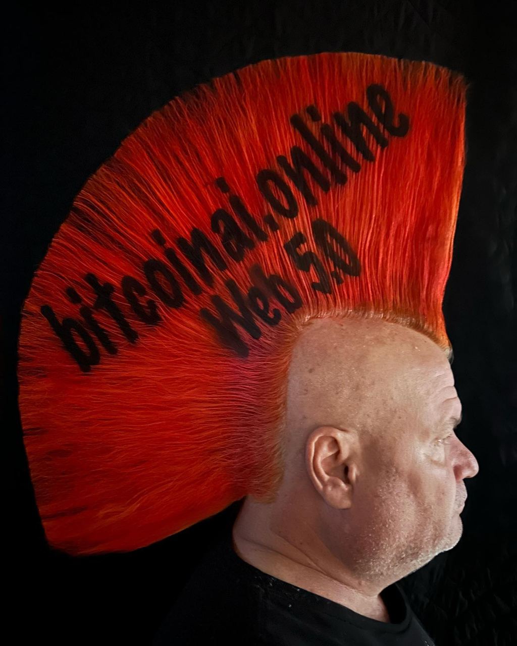 mohawk bob representing bitcoinai